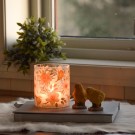 Lysglass Narcisser thumbnail