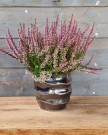 Vase keramikk thumbnail