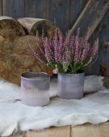 Lysglass Rosa/Lilla